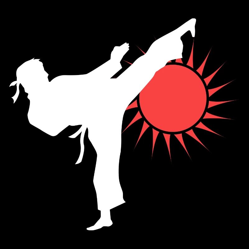 Silhouette de coup de pied de karaté avec soleil rouge