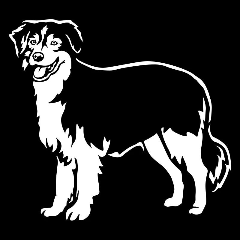 Australian Shepherd "Black Edition"