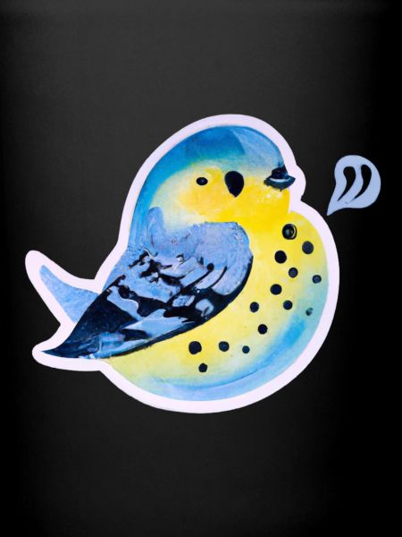 Mésange