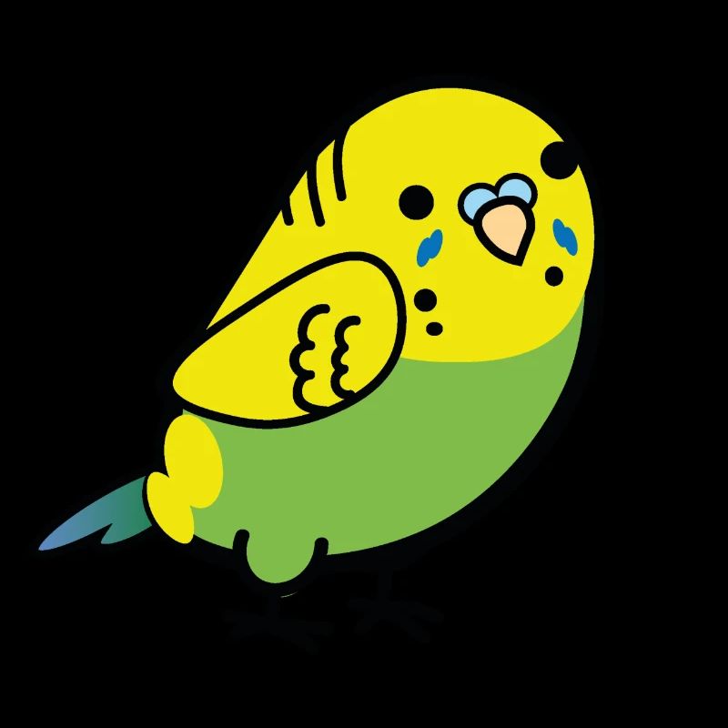 Budgerigar