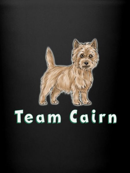 Team Cairn