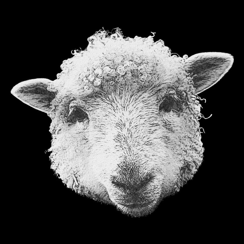 schafdesign mädchen, Schafkopf Leinwand optik