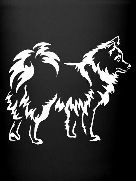 Spitz « Édition Noire »