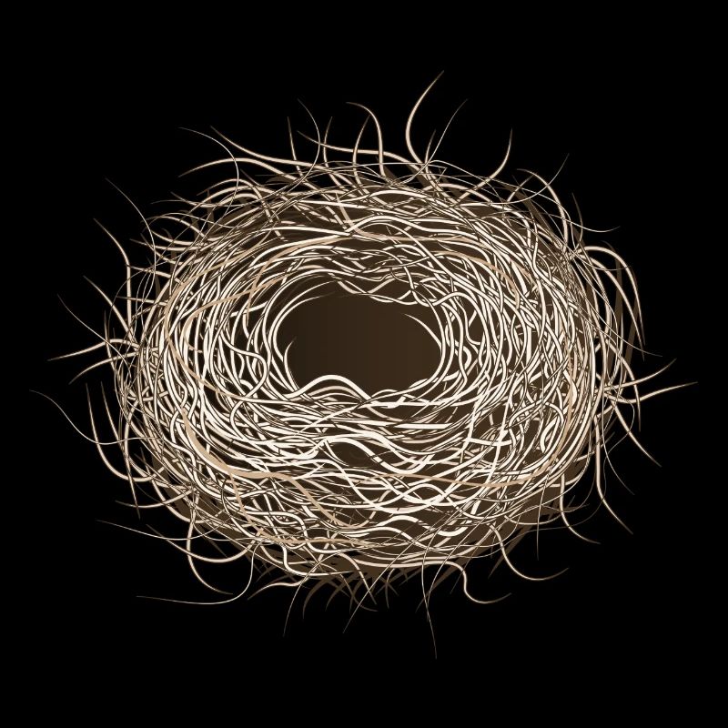 empty bird's nest or easter basket for spring