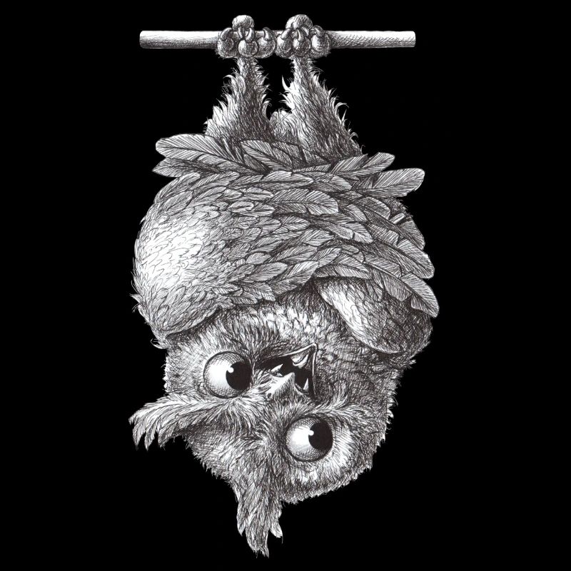 Vampire Owl - Dracula Owl