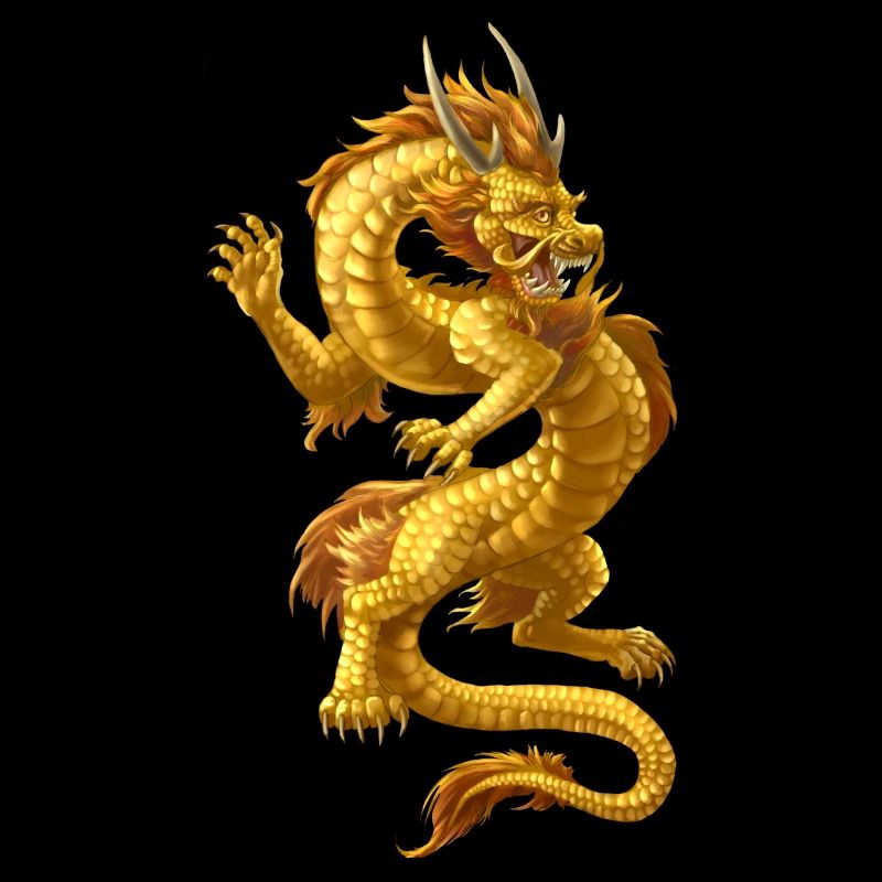 Dragon chinois