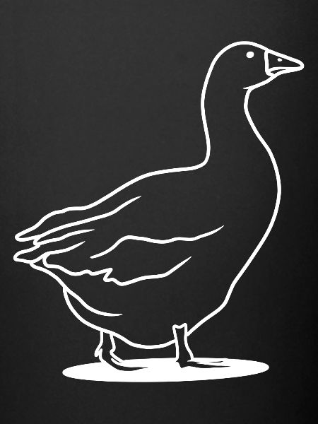 goose