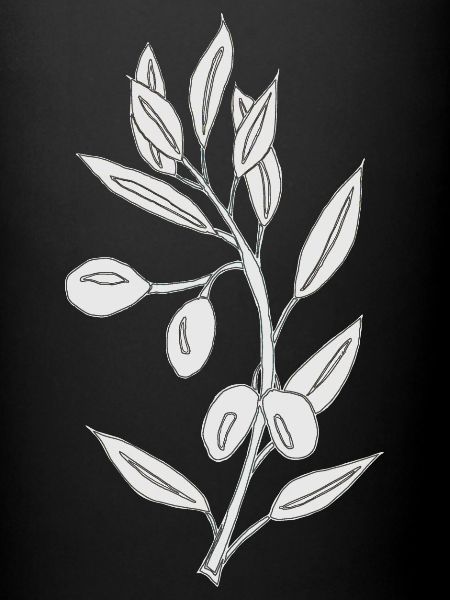 gris olive