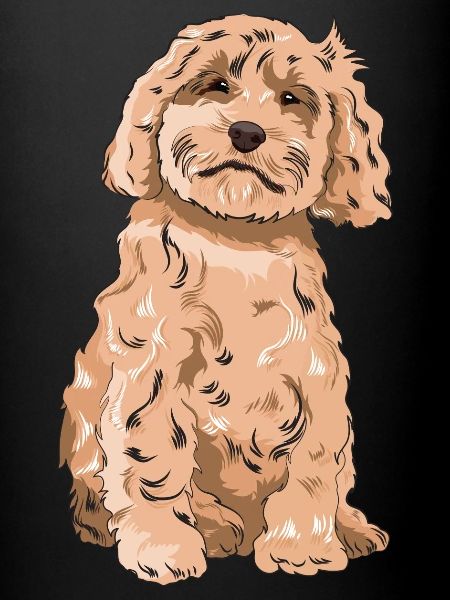 Cadeau de chien Cockapoo