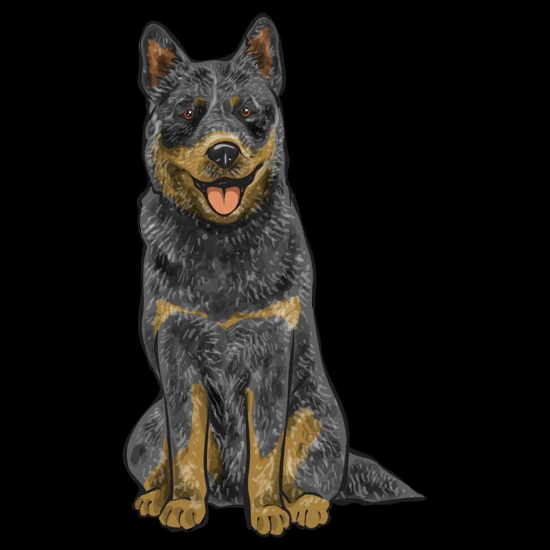 Australian Cattle Dog Red Blue Heeler