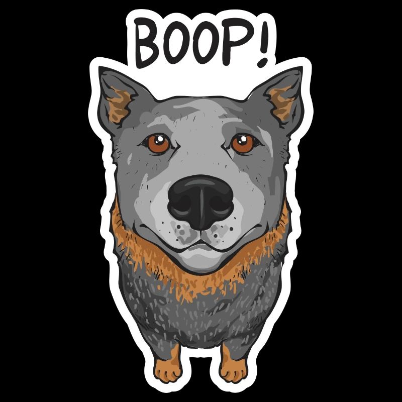 Bouvier australien Red Blue Heeler