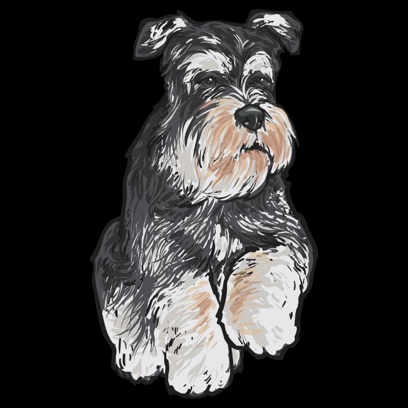 Schnauzer nain Chien Schnauzer