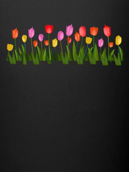 Fleur de printemps tulipes