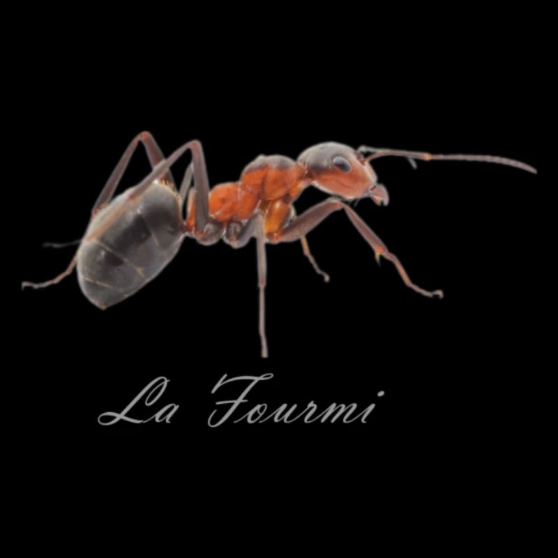 la fourmi