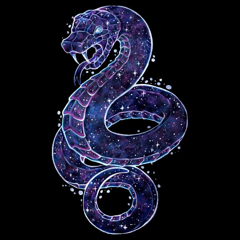 Cool Galaxy Schange Reptil Galaxytier Sternzeichen