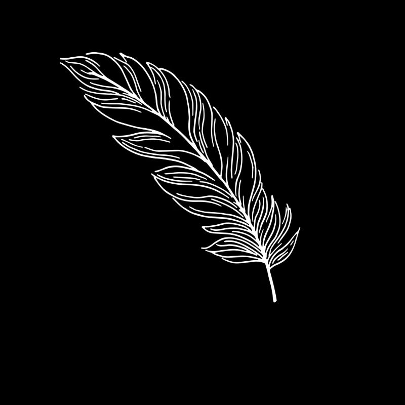 Feather Feathers Indian Gift