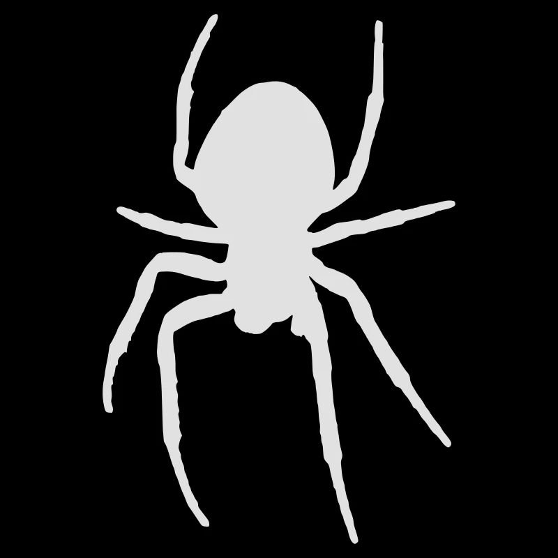 Spinne