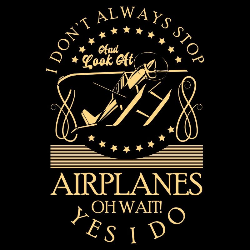 Model Airplane Hobby Pilot Model