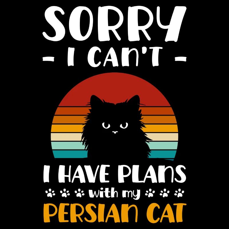 Perser Katze Katzendame Liebe