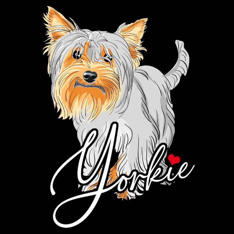 Lustiger Yorkie Yorkshire Terrier mit Hut