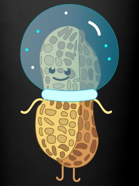 Cacahuètes en astronaute