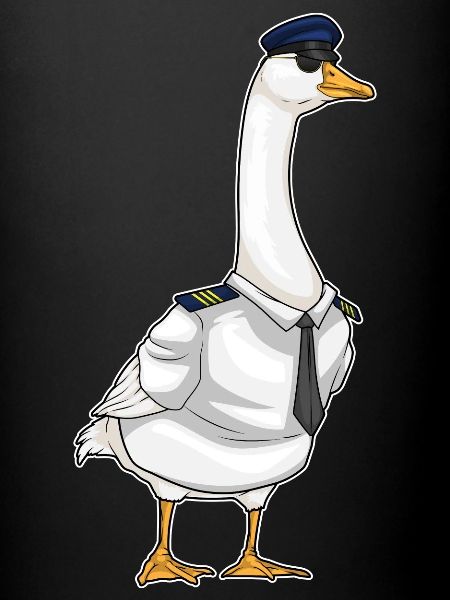 Capsule de pilote canard