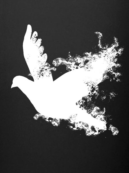 White dove wedding