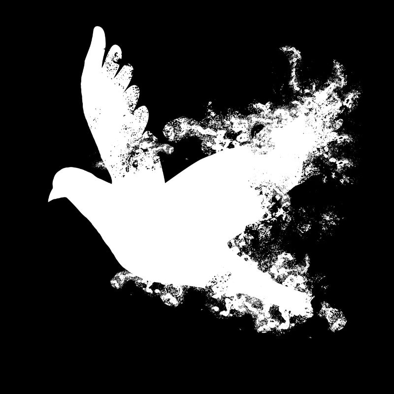 Mariage de colombe blanche