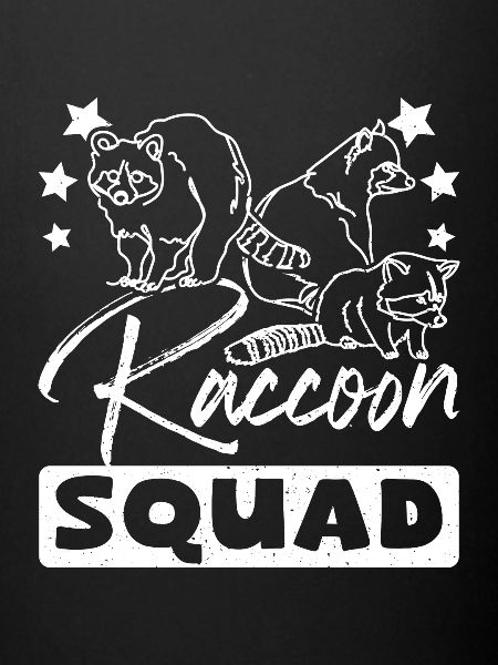 Raccoon squad