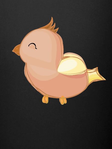 Oiseau oiseau