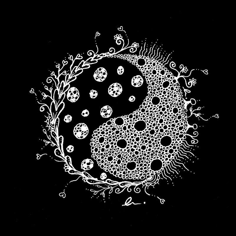 Yin Yang ZenTangle
