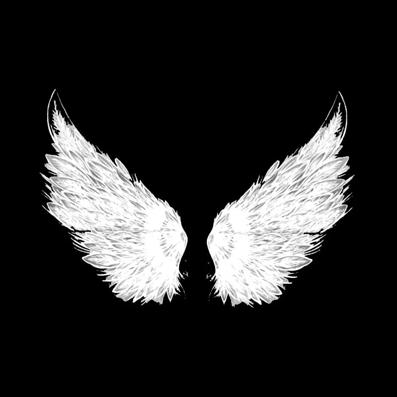 ailes blanches, ailes, ailes d’ange, anges
