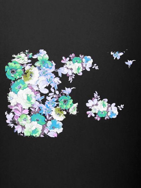 Fleurs,Fleur,Printemps,Fleurs