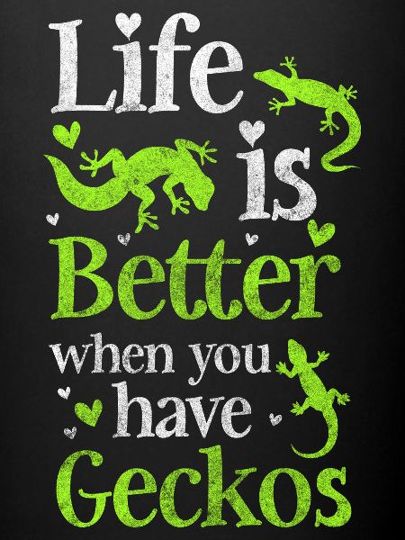 Geckos Lizard Terrarium