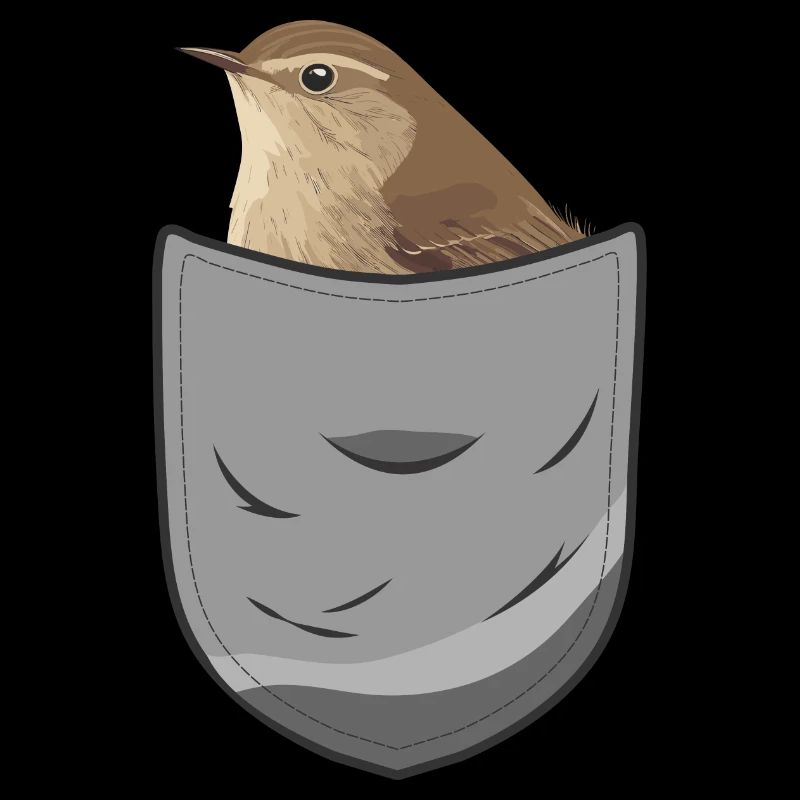 Troglodyte oiseau