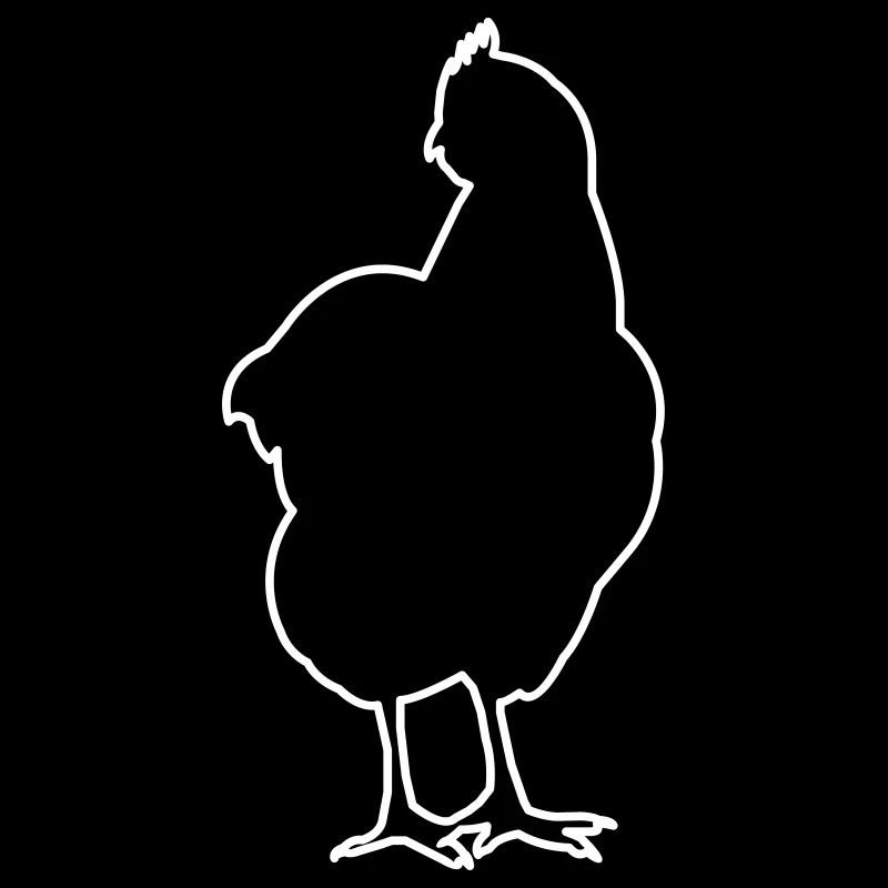 Chicken Hen Chickens Poultry Small animal