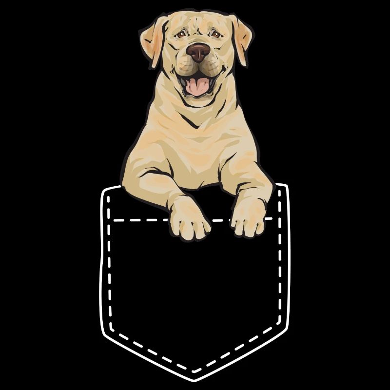 Yellow Labrador Retriever