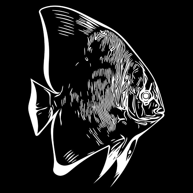 Elegant vintage batfish