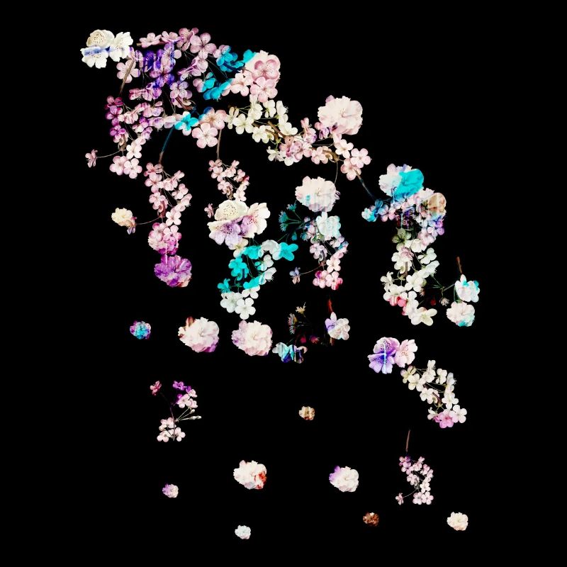Fleur de cerisier,fleurs,fleurs,fleurs,fleurs