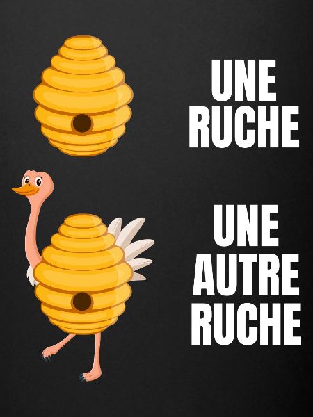 autre ruche