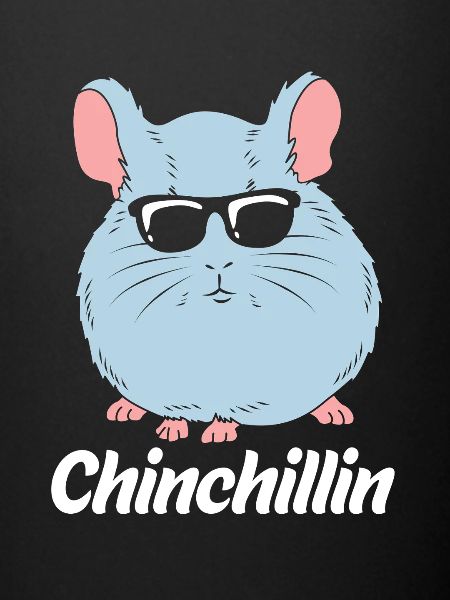 Chinchilla