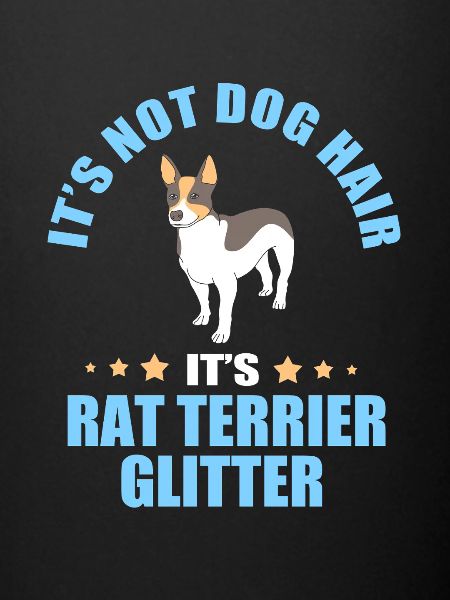 Rat Terrier
