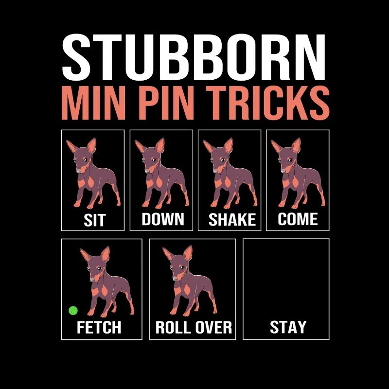 Pinscher nain