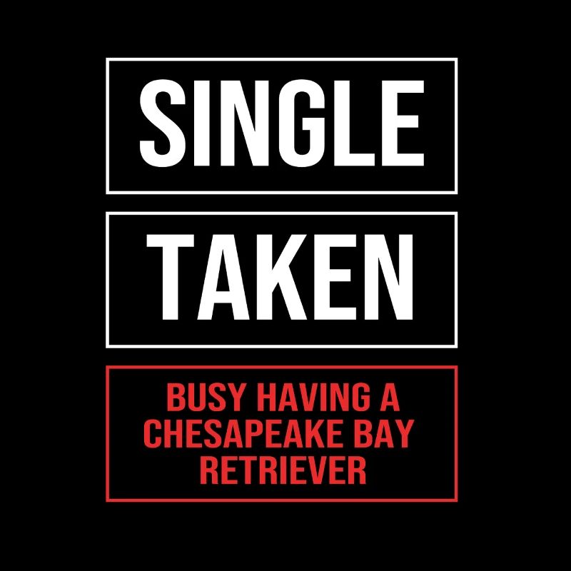 Retriever de la baie de Chesapeake