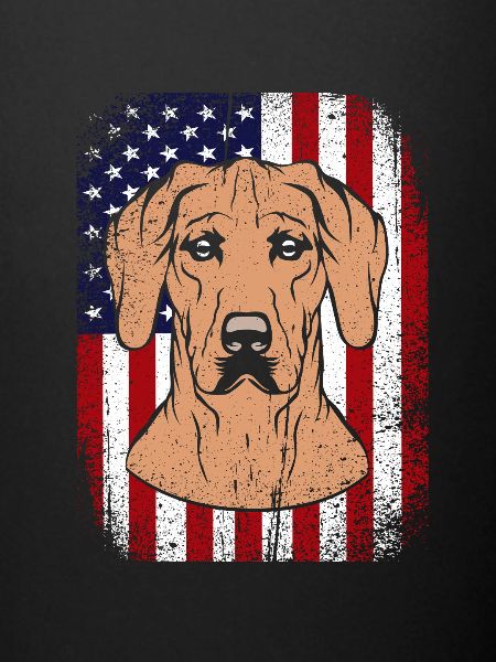Rhodésian Ridgeback