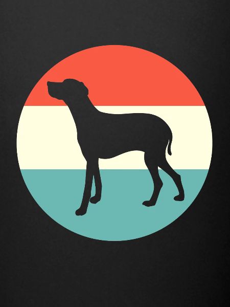 Weimaraner