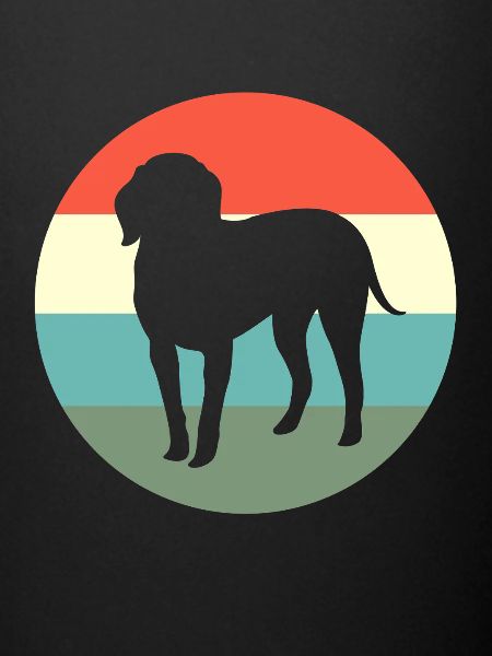 Redbone Coonhound