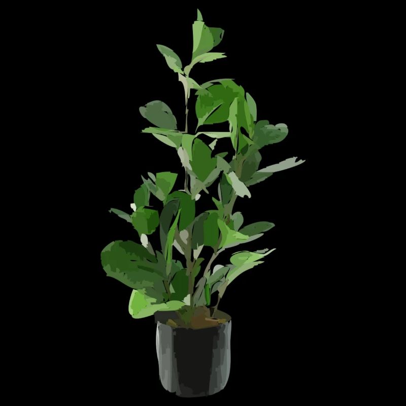 Plante d’intérieur