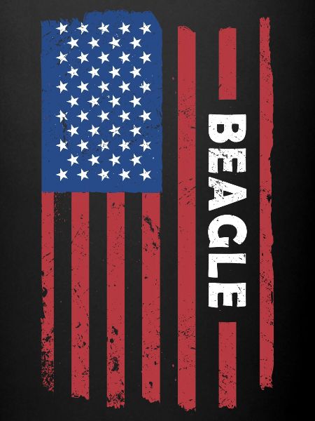 Drapeau Beagle Us