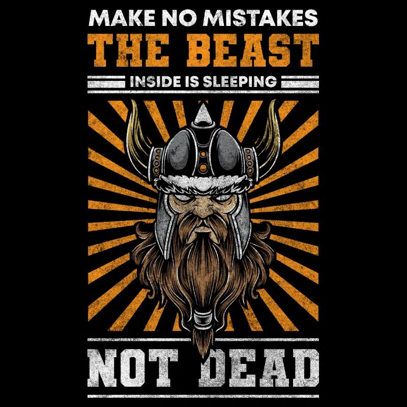 Wikinger Nordisch Blitz German